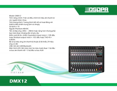 DSPPA DMX12