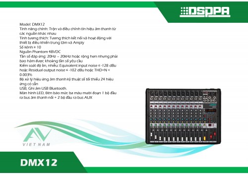 DSPPA DMX12