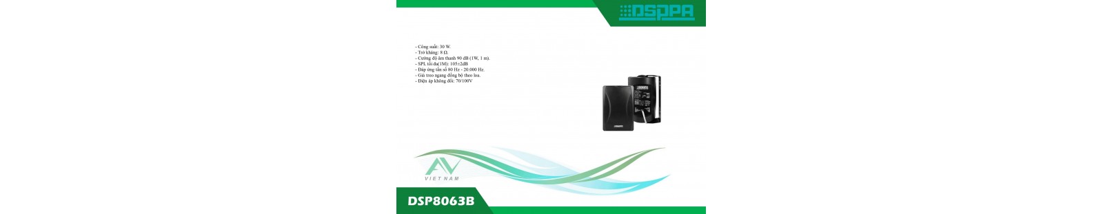 DSP8063B