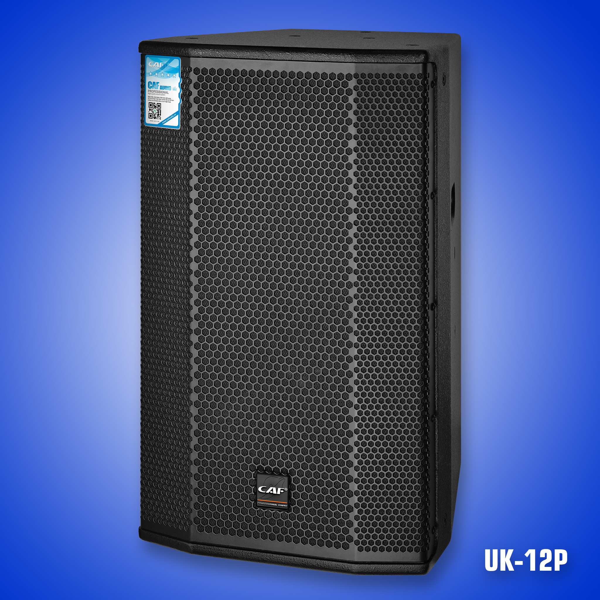 CAF-AUDIO-UK-12P-AV-VIET-NAM-5