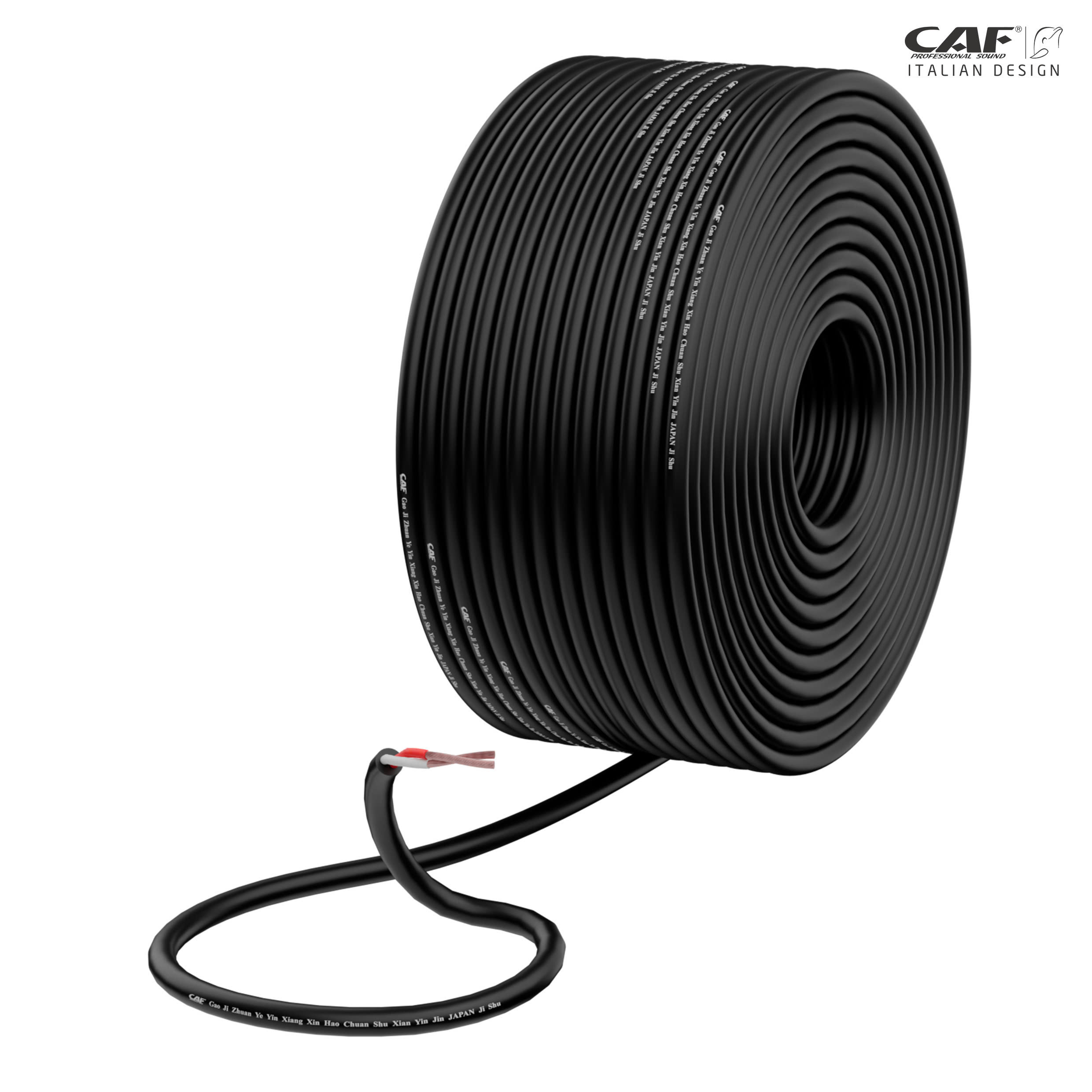 Day-loa-CAF-AUDIO-CB215-2