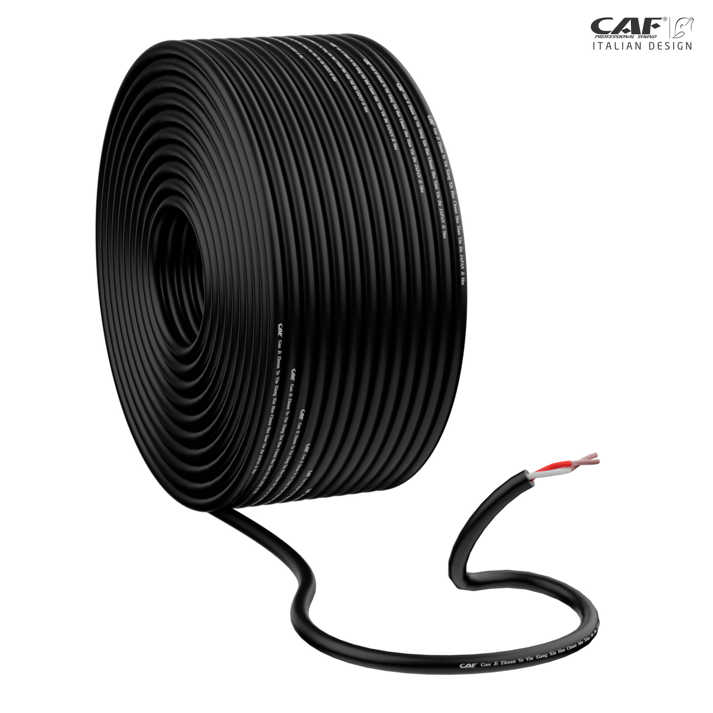 Day-loa-CAF-AUDIO-CB215-3