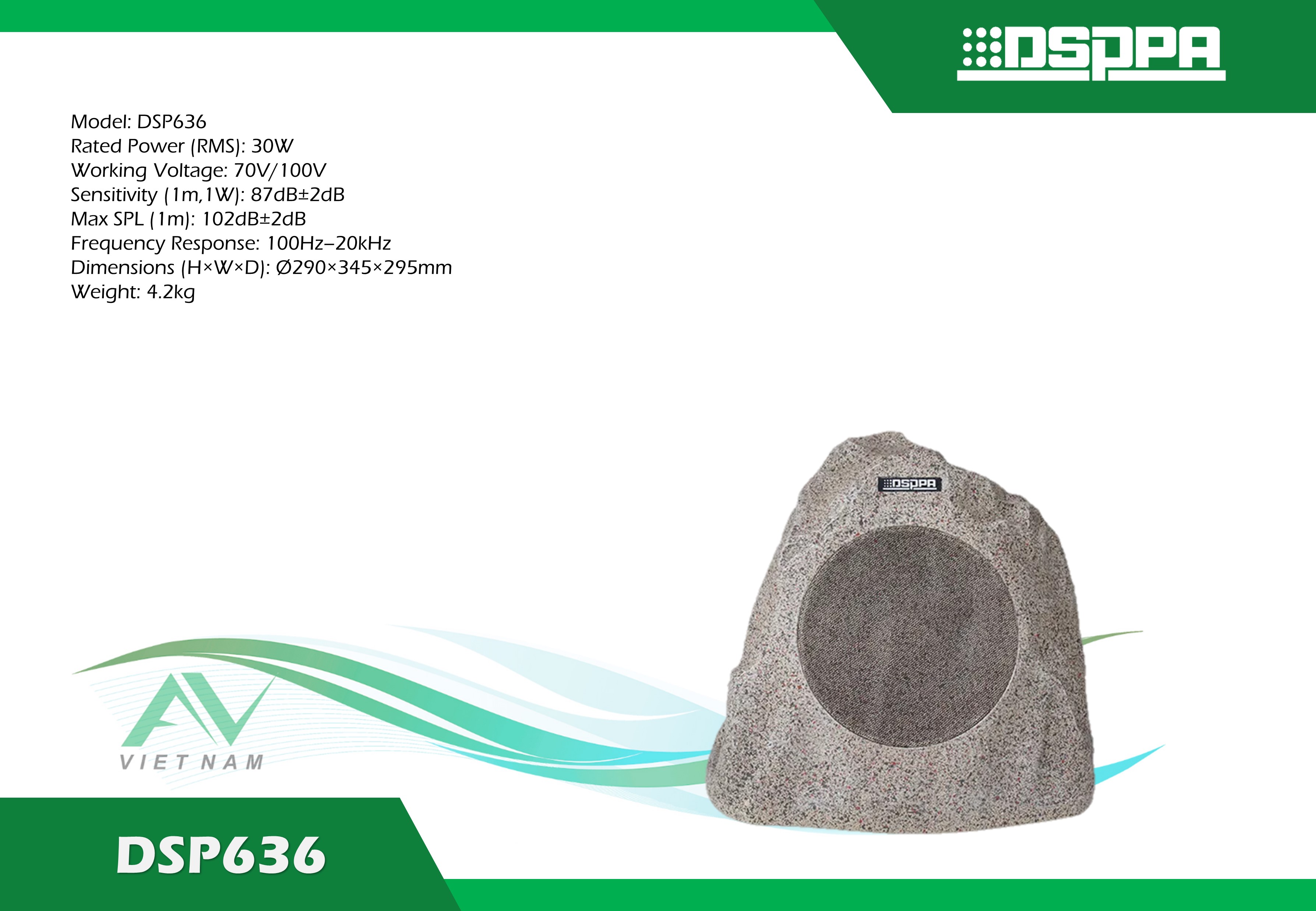 DSP636