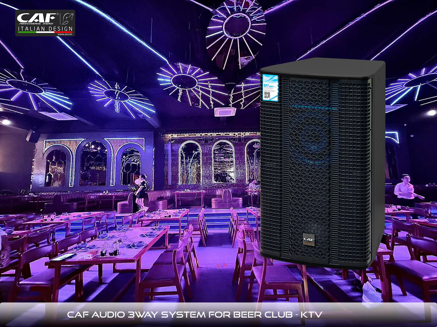 Loa-CAFl-loa-3-way-CAF--THV123-LOa-quan-Bar-Loa-Bar-bia-Loa-Bar-Beer-23