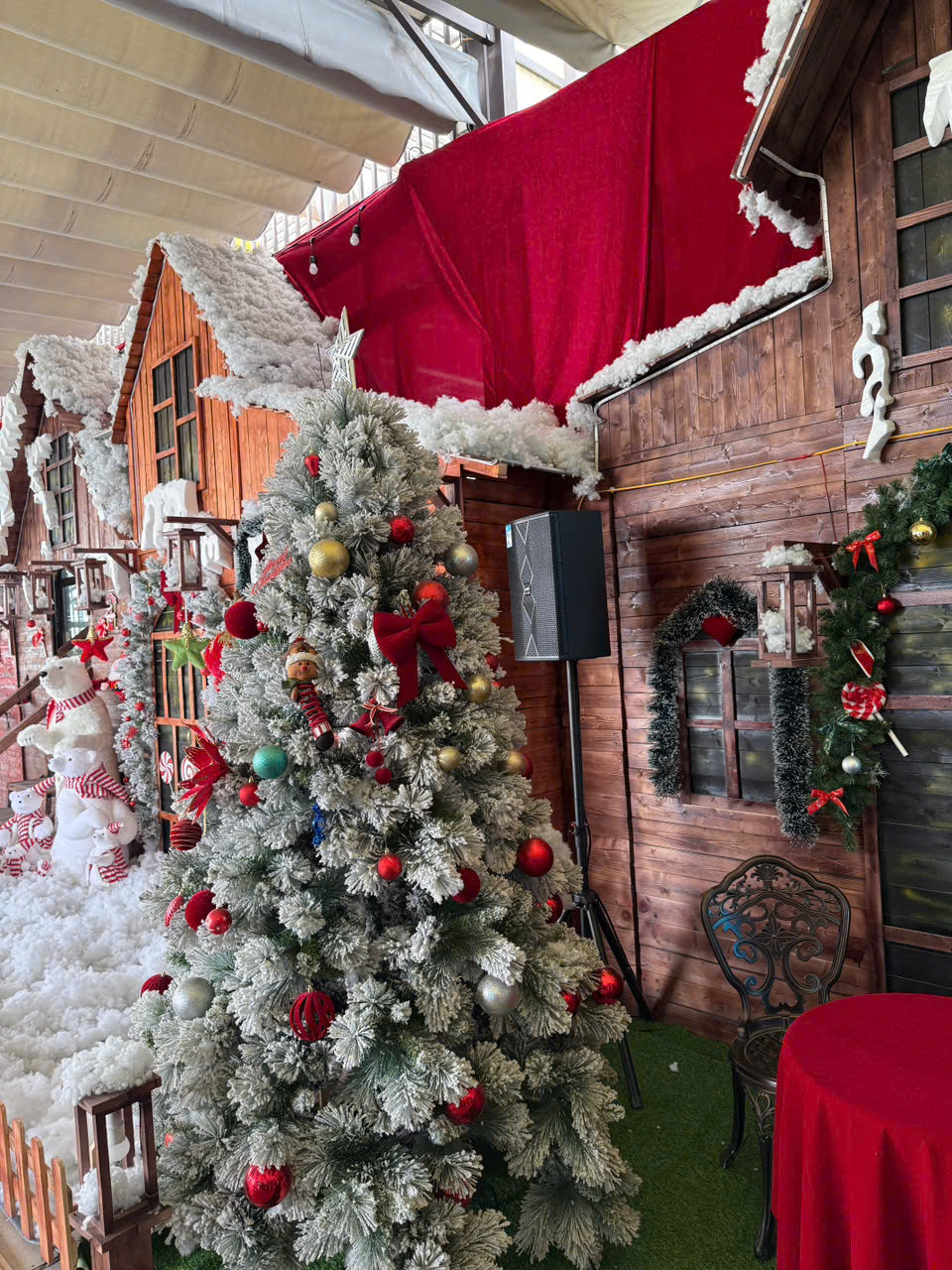 AVV-DU-AN-VQA-HAI-PHONG-1