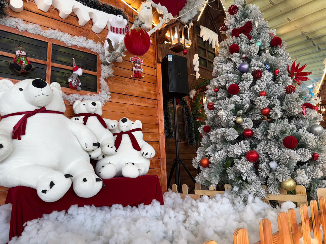 AVV-DU-AN-VQA-HAI-PHONG-7